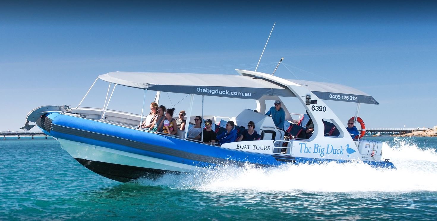 维特港大鸭号游船