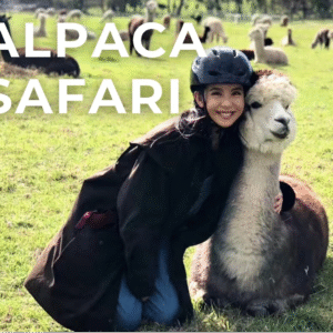 alpaca+farm+tours+safari+Adelaide+alpacas copy 羊驼农场