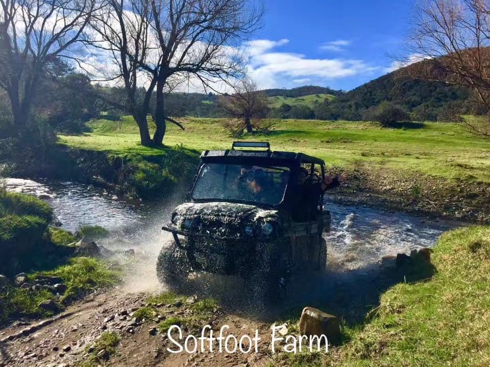 羊驼农场 - Image 6